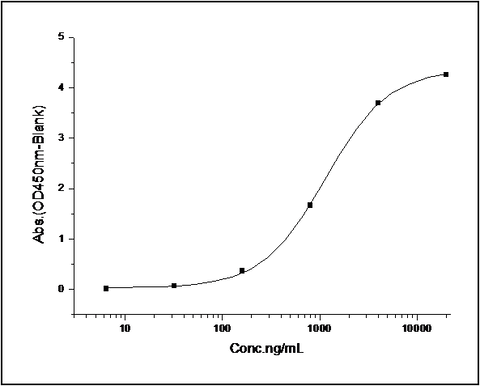 Measured by its binding ability in a functional ELISA. Immobilized Rat PCSK9 at 10 μg/ml (100 μl/well) can bind biotinylated recombinant mouse LDLR . The EC<sub>50</sub> of biotinylated mouse LDLR is 0.173 μg/ml.