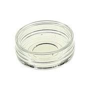 Glass Bottom Cell Culture Dish,Φ 20mm,TC, sterile 10/pk, 200/cs — NEST Cat. No. 801001