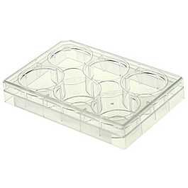 6 Well Glass Bottom Cell Culture Plate,Φ 20mm,TC, sterile 1/pk, 10/cs — NEST Cat. No. 801004