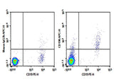 Human peripheral blood lymphocytes were stained with 0.2 μg Purified Anti-Human CD196/CCR6 Antibody[G034E3] (Right) and 0.2 μg Mouse IgG2b, κ Isotype Control (Left), followed by APC-conjugated Goat Anti-Mouse IgG Secondary Antibody, then anti-Human CD19 PE-conjugated Monoclonal Antibody.