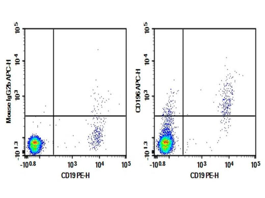Human peripheral blood lymphocytes were stained with 0.2 μg Purified Anti-Human CD196/CCR6 Antibody[G034E3] (Right) and 0.2 μg Mouse IgG2b, κ Isotype Control (Left), followed by APC-conjugated Goat Anti-Mouse IgG Secondary Antibody, then anti-Human CD19 PE-conjugated Monoclonal Antibody.