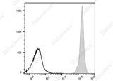 Anti-Mouse CD45 Antibody [I3/2.3] - ABMIUM
