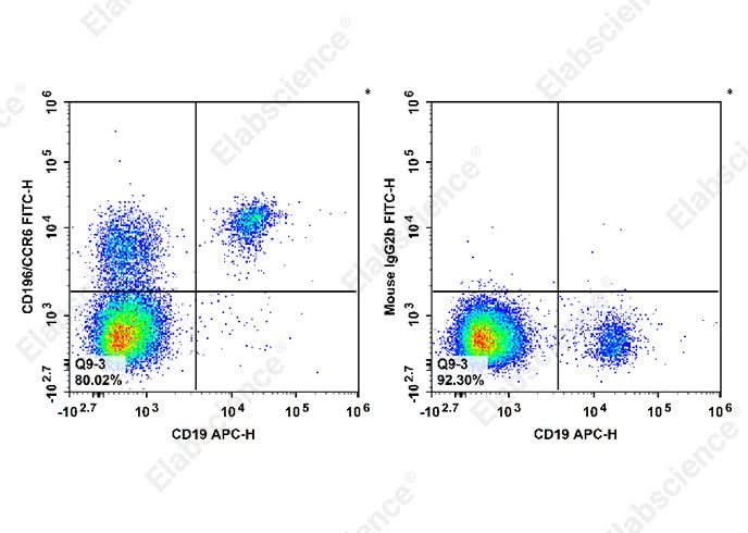 Human peripheral blood lymphocytes are stained with APC Anti-Human CD19 Antibody and FITC Anti-Human CD196/CCR6 Antibody[G034E3] (Left). Lymphocytes are stained with APC Anti-Human CD19 Antibody and FITC Mouse IgG2b, κ Isotype Control (Right). 