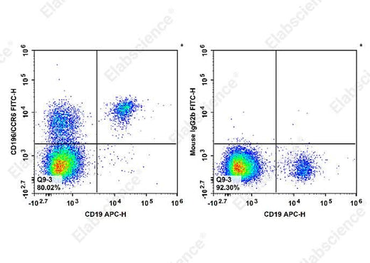 Human peripheral blood lymphocytes are stained with APC Anti-Human CD19 Antibody and FITC Anti-Human CD196/CCR6 Antibody[G034E3] (Left). Lymphocytes are stained with APC Anti-Human CD19 Antibody and FITC Mouse IgG2b, κ Isotype Control (Right). 