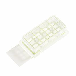 Nest Cell Culture Chamber Slides, 8 well w/glass slide, Clear, 0.98 cm2, 0.2-0.6ml, 6/pk, 12/cs — NEST Cat. No. 230108