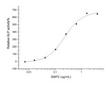 Measured by its ability to induce alkaline phosphatase production by MC3T3-E1 mouse osteoblastic cells. The ED<sub>50</sub> for this effect is typically 0.1-0.5μg/mL.