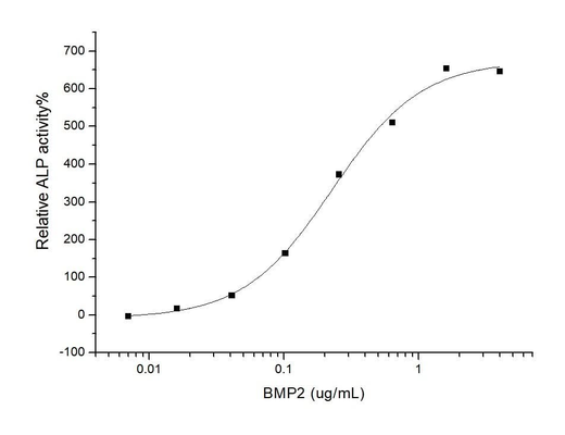 Measured by its ability to induce alkaline phosphatase production by MC3T3-E1 mouse osteoblastic cells. The ED<sub>50</sub> for this effect is typically 0.1-0.5μg/mL.