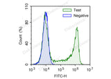 Test: Jurkat cells were treated with 10 μM EdU for 4 hours. Negative: Jurkat cells without EdU.