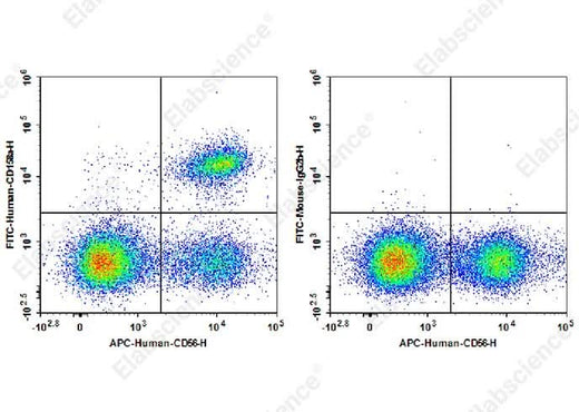 Staining of normal human peripheral blood cells with APC Anti-Human CD56 Antibody and FITC Anti-Human CD158a Antibody[HP-MA4] (left) or FITC Mouse IgG1, κ Isotype Control (right). Cells in the lymphocytes gate were used for analysis.