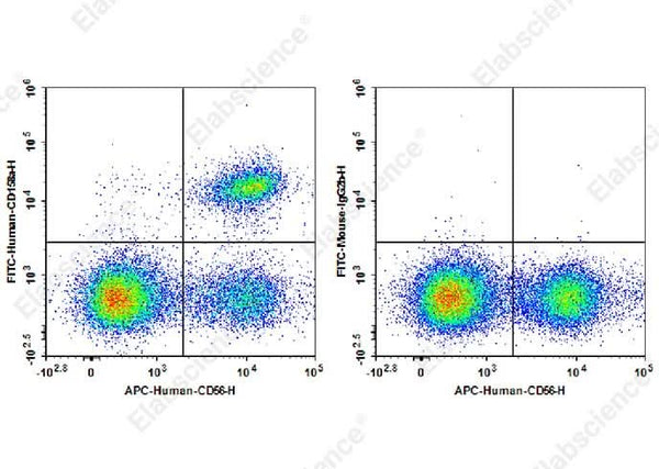 Staining of normal human peripheral blood cells with APC Anti-Human CD56 Antibody and FITC Anti-Human CD158a Antibody[HP-MA4] (left) or FITC Mouse IgG1, κ Isotype Control (right). Cells in the lymphocytes gate were used for analysis.