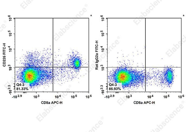 Staining of C57BL/6 murine splenocytes cells with APC Anti-Mouse CD8a Antibody and FITC Anti-Mouse CD226 Antibody[480.1] (left) or FITC Rat IgG2a, κ Isotype Control (right). Total viable cells were used for analysis.