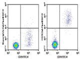 Human peripheral blood lymphocytes were stained with 0.2μg Purified Anti-Human CD24 Antibody[ML5] (Right) and 0.2μg mouse IgG2a,κ lsotype Control (Left), followed by Elab Fluor<sup>®</sup> 647-conjugated goat Anti-mouse IgG Secondary Antibody, then anti-human CD19 FITC-conjugated Monoclonal Antibody.
