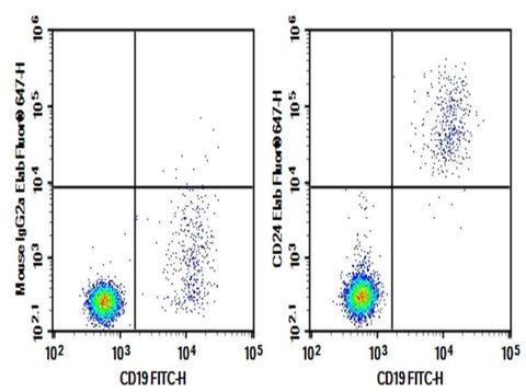 Human peripheral blood lymphocytes were stained with 0.2μg Purified Anti-Human CD24 Antibody[ML5] (Right) and 0.2μg mouse IgG2a,κ lsotype Control (Left), followed by Elab Fluor<sup>®</sup> 647-conjugated goat Anti-mouse IgG Secondary Antibody, then anti-human CD19 FITC-conjugated Monoclonal Antibody.