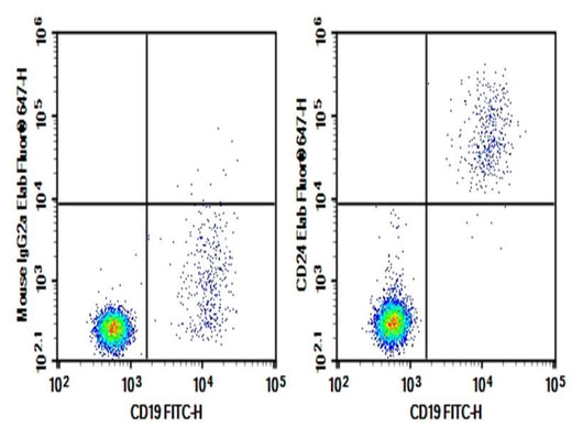Human peripheral blood lymphocytes were stained with 0.2μg Purified Anti-Human CD24 Antibody[ML5] (Right) and 0.2μg mouse IgG2a,κ lsotype Control (Left), followed by Elab Fluor<sup>®</sup> 647-conjugated goat Anti-mouse IgG Secondary Antibody, then anti-human CD19 FITC-conjugated Monoclonal Antibody.