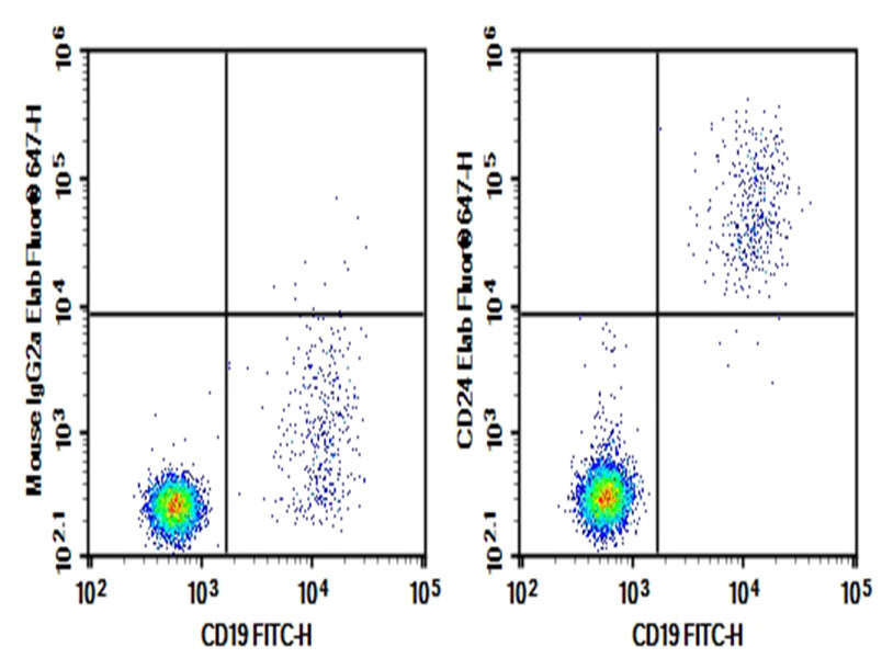 Human peripheral blood lymphocytes were stained with 0.2μg Purified Anti-Human CD24 Antibody[ML5] (Right) and 0.2μg mouse IgG2a,κ lsotype Control (Left), followed by Elab Fluor<sup>®</sup> 647-conjugated goat Anti-mouse IgG Secondary Antibody, then anti-human CD19 FITC-conjugated Monoclonal Antibody.