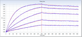 Using the Octet RED System, the affinity constant (Kd) of IL1R2 Protein, Human, Recombinant (Fc Tag) (Cat: PKSH031866) bound IL-1 beta Protein, Human, Recombinant (Cat: PKSH031839) was 6.0 nM.