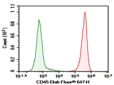 Anti-Mouse CD45/PTPRC Antibody [M1/9.3.4.HL.3] - ABMIUM