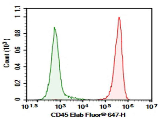 Anti-Mouse CD45/PTPRC Antibody [M1/9.3.4.HL.3] - ABMIUM