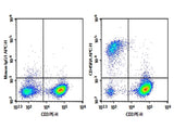 Rat splenocytes were stained with 0.2 μg Purified Anti-Rat CD45RA Antibody[OX-33] (Right) and 0.2 μg Mouse IgG1, κ Isotype Control (Left), followed by APC-conjugated Goat Anti-Mouse IgG Secondary Antibody, then anti-Rat CD3 PE-conjugated Monoclonal Antibody.