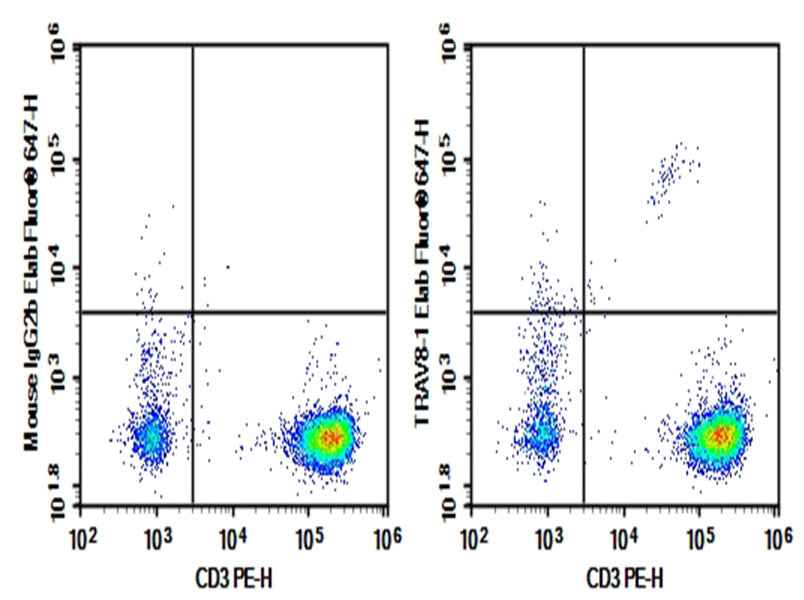 Anti-Human TRAV8-1 Antibody [16G8] - ABMIUM