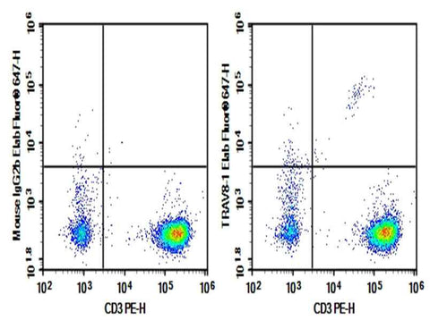 Anti-Human TRAV8-1 Antibody [16G8] - ABMIUM