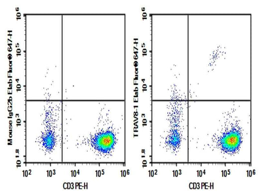 Anti-Human TRAV8-1 Antibody [16G8] - ABMIUM