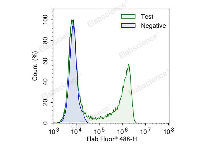 Test: Jurkat cells were treated with 10 μM EdU for 4 hours. Negative: Jurkat cells without EdU.