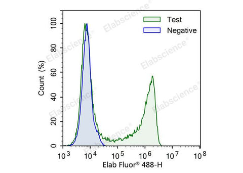 Test: Jurkat cells were treated with 10 μM EdU for 4 hours. Negative: Jurkat cells without EdU.