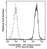 Anti-Human B2M Antibody [A971] - ABMIUM