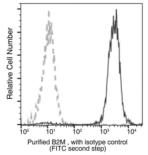 Anti-Human B2M Antibody [A971] - ABMIUM