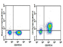 Anti-Human CD172g Antibody [OX-119] - ABMIUM