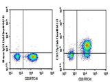 Anti-Human CD172g Antibody [OX-119] - ABMIUM