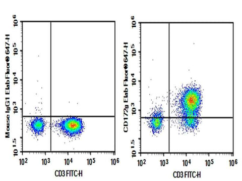 Anti-Human CD172g Antibody [OX-119] - ABMIUM