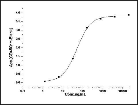 Measured by its binding ability in a functional ELISA. Immobilized mouse VEGFR3-His (Cat: PKSM040596) at 10 μg/mL (100 μl/well) can bind mouse Fc-VEGFD, The EC<sub>50</sub> of mouse Fc-VEGFD is 44 ng/mL.