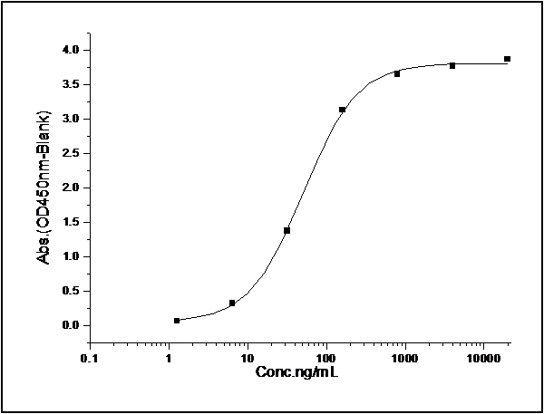 Measured by its binding ability in a functional ELISA. Immobilized mouse VEGFR3-His (Cat: PKSM040596) at 10 μg/mL (100 μl/well) can bind mouse Fc-VEGFD, The EC<sub>50</sub> of mouse Fc-VEGFD is 44 ng/mL.