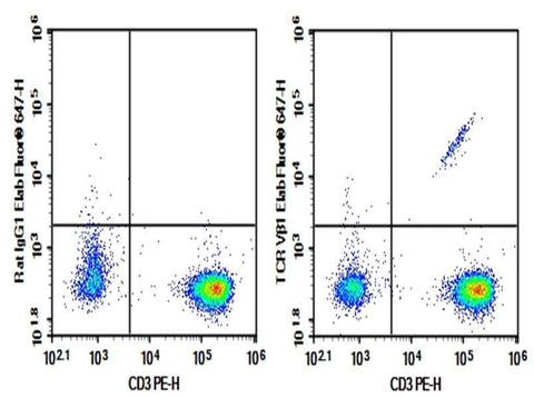 Anti-Human TCRVβ1 Antibody [BL37.2] - ABMIUM