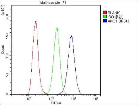 Anti-TMEM16A/ANO1 Antibody Picoband® Boster Bio