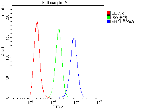 Anti-TMEM16A/ANO1 Antibody Picoband® Boster Bio