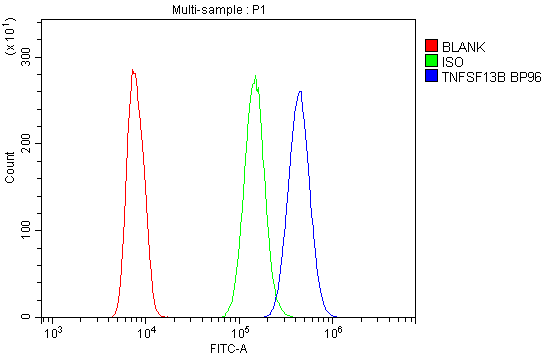 Anti-BAFF/TNFSF13B Antibody Picoband® Boster Bio