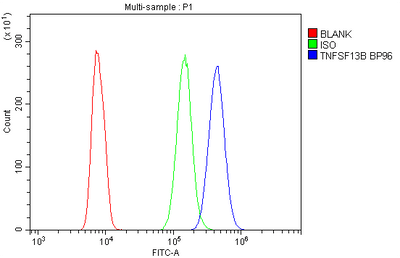 Anti-BAFF/TNFSF13B Antibody Picoband® Boster Bio