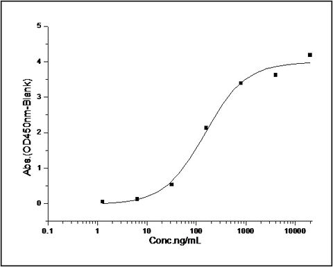 Measured by its binding ability in a functional ELISA. Immobilized human SIRPG-His at 10 μg/ml (100 μl/well) can bind human CD47-Fc (Cat: PKSH030857), The EC<sub>50</sub> of human CD47-Fc (Cat: PKSH030857) is 0.58-1.34 μg/ml.
