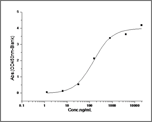 Measured by its binding ability in a functional ELISA. Immobilized human SIRPG-His at 10 μg/ml (100 μl/well) can bind human CD47-Fc (Cat: PKSH030857), The EC<sub>50</sub> of human CD47-Fc (Cat: PKSH030857) is 0.58-1.34 μg/ml.