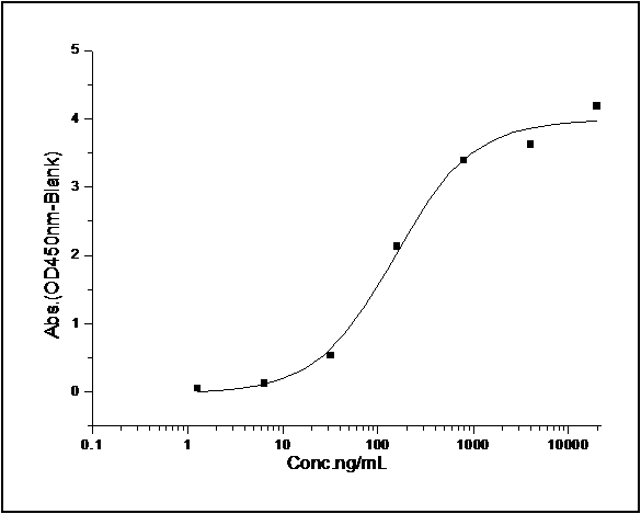 Measured by its binding ability in a functional ELISA. Immobilized human SIRPG-His at 10 μg/ml (100 μl/well) can bind human CD47-Fc (Cat: PKSH030857), The EC<sub>50</sub> of human CD47-Fc (Cat: PKSH030857) is 0.58-1.34 μg/ml.