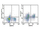 Anti-Human TIGIT Antibody [A15153G] - ABMIUM