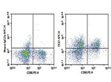 Anti-Human TIGIT Antibody [A15153G] - ABMIUM