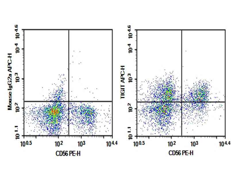 Anti-Human TIGIT Antibody [A15153G] - ABMIUM