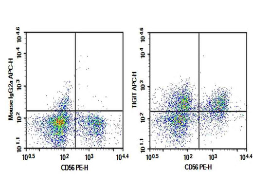 Anti-Human TIGIT Antibody [A15153G] - ABMIUM