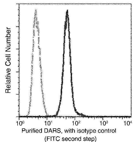 Anti-Human DARS Antibody [A1089] - ABMIUM