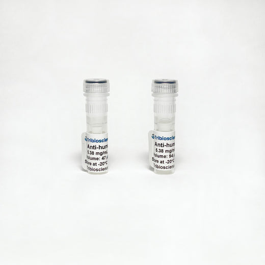 Monoclonal Anti-human IgM Antibody – IgG1, kappa light chain
