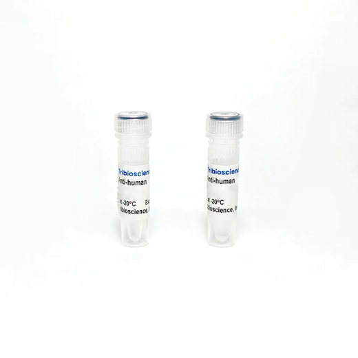 Monoclonal Antibody to Human IL-10, Biotin